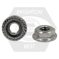 1/4"-20 Hex Flange Nuts, Serrated, 18-8 Stainless Steel, Qty 100