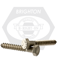 5/8"-5 x 7 1/2" Hex Lag Screws, 316 Stainless Steel, Qty 10