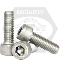 M8-1.25 x 22 mm Socket Head Cap Screws, 18-8 Stainless Steel A2, Full Thread, Qty 100