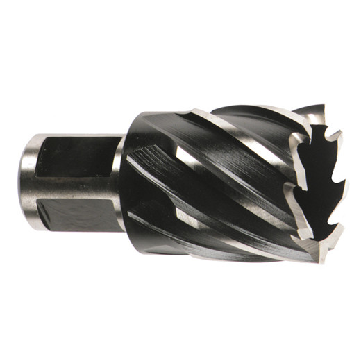 Milwaukee 49-59-1250 1-1/4 in. HSS Annular Cutter 1 in. Depth
