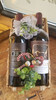 2 Bottle Napa Cabernet Basket