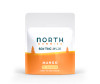 North THC Mango Gummies 10pk