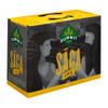 Summit Saga 12pk cans