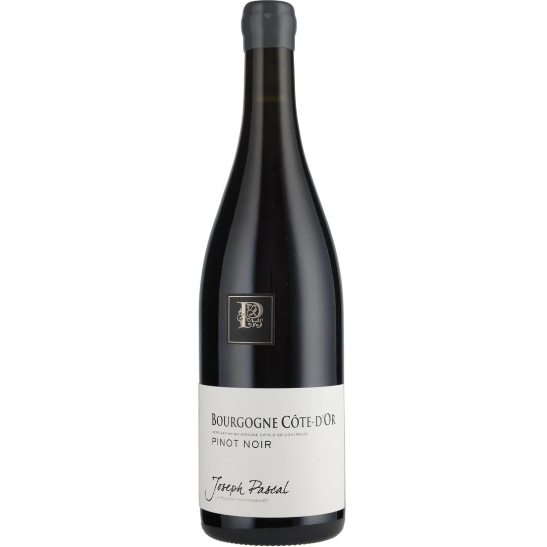 Bourgogne Pinot Noir Cote D'Or Jean Pascal - Haskell's Wine & Spirits