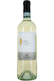 Ilauri Tavo Pinot Grigio