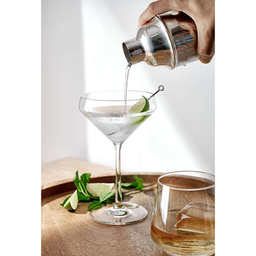 Schott Zwiesel Martini Glass