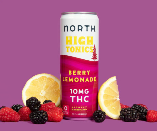 North High Tonic Berry Lemonade THC Seltzer 4pk cans