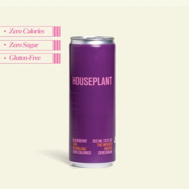 Houseplant Blackberry 3mg THC Sparkling Water 4pk cans - Haskell's