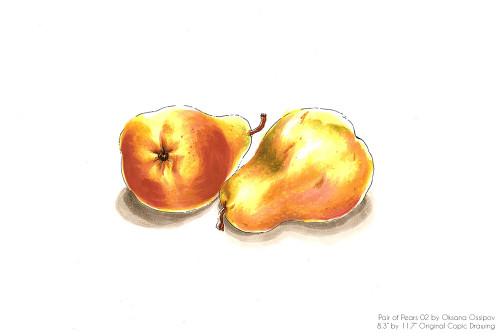 Pair of Pears 02, original still life Copic drawing by artist Oksana Ossipov.
Copic markers on paper, 8.3 by 11.7". Full view.