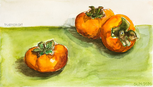 Three Persimmons by Oksana Ossipov
5.5 x 8.5 in, Canson 138 lb paper, Watercolor