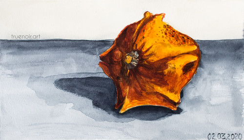 Star Gourd by Oksana Ossipov
5.5 x 8.5 in, Canson 138 lb paper, Watercolor