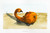 Duckling Gourd by Oksana Ossipov
5.5 x 8.5", Canson 138 lb paper, Watercolor