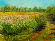 Connemara Meadow American Basketflower by artist Oksana Ossipov, original 12 by 9 inch oil painting on linen panel.