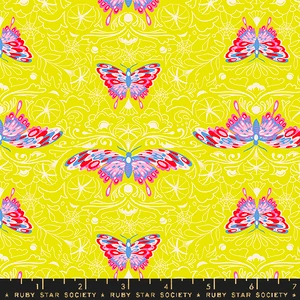 Morning Moth Citron from the Glow Garden quilting fabric collection designed by Sarah Watts for Ruby Star Society. 100% cotton quilting fabric, ideal for quilting, patchwork and dressmaking RS2116-14N