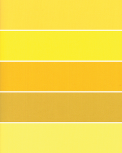 Yellow Bella Solids Fat Quarter Bundle - 5 Fabrics - 100% Premium Quilting and Patchwork Cotton Fabric