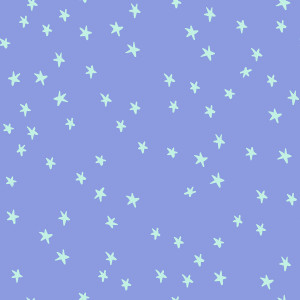 Starry Dusk from the Starry quilting fabric collection by Ruby Star Society. 100% cotton quilting fabric, ideal for quilting, patchwork and dressmaking RS4109-57