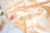 Unruly Terrace Nectarine from the Nectarine Fusion collection by Art Gallery Fabrics. 100% OEKO-TEX Certified Standard Cotton Fabric