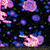 Tiger Rose Black from the Ink Shop quilting fabric collection designed by Sarah Watts for Ruby Star Society. 100% cotton quilting fabric, ideal for quilting, patchwork and dressmaking RS2143-13
