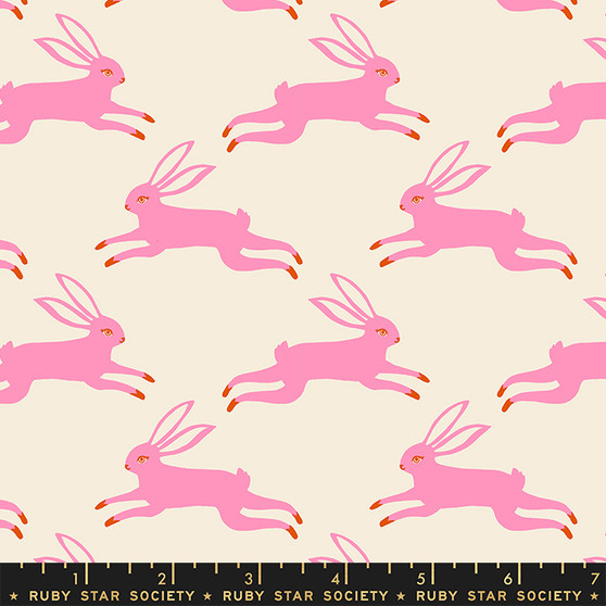 Bunny Run Flamingo from the Backyard quilting fabric collection by Ruby Star Society. 100% cotton quilting fabric, ideal for quilting, patchwork and dressmaking RS2087-11