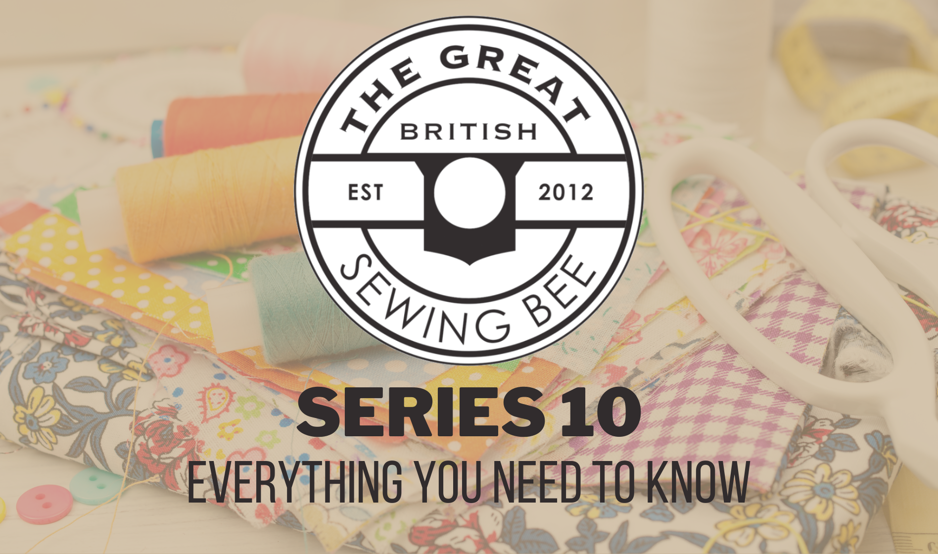 2024 Details – International Bra Sewing Bee