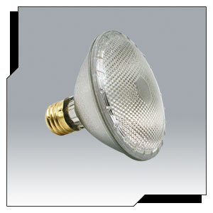 Ushio 75PAR30/SP10/130V-U
