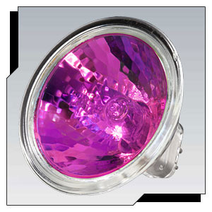 Ushio EXT/CG/MAGENTA-U