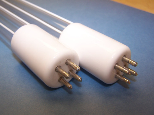 First Light NIQ 300/147XL