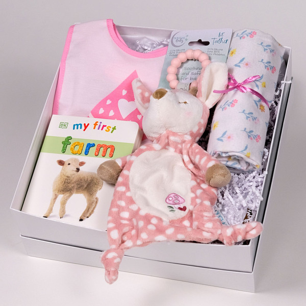 Baby Gift Box containing this cute, cuddly, soft Pink Fawn Teether and Farm Animals Board Book along with a bib and receiving blanket. Share in the joy of the new arrival by sending this gift today! 