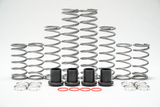 Full Dual Rate Spring Kit for Standard Travel YXZ