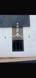 The Diving Man