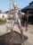 The standing man