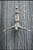 The Diving Man