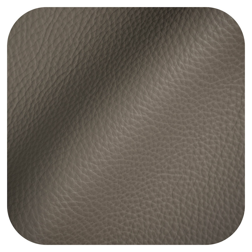 Luxtan Pewter Leather