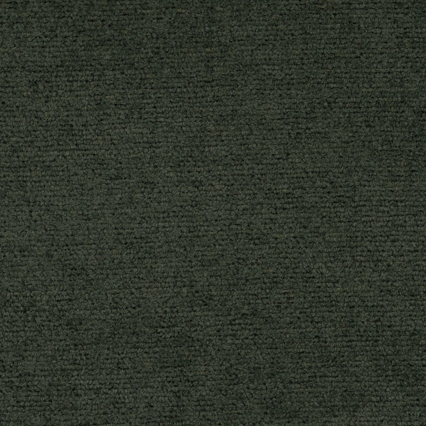 Study Hall Forest Fabric Swatch