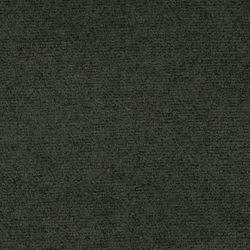 Study Hall Forest Fabric By The Yard