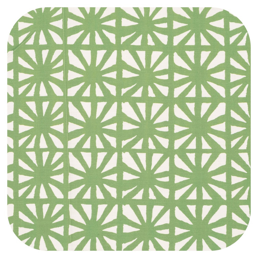 Kaleidoscope Cactus