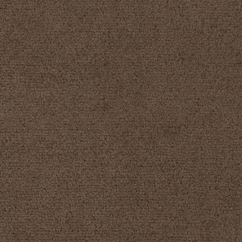 Study Hall Cafe Fabric Swatch