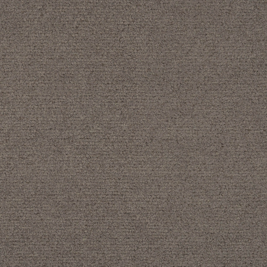 Study Hall Mushroom Fabric Swatch