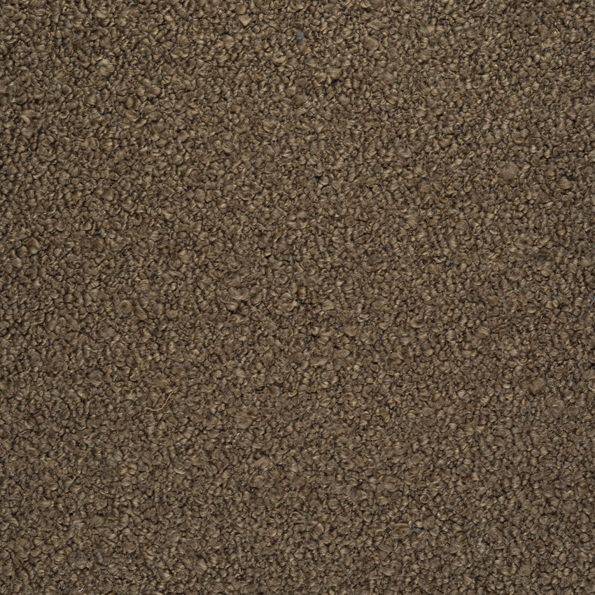 Curl Up Beaver Fabric