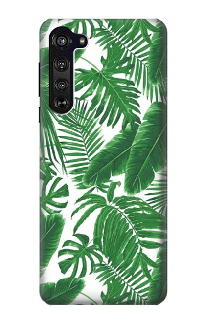 S3457 Paper Palm Monstera Case For Motorola Edge