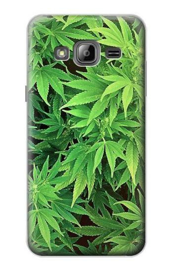 S1656 Marijuana Plant Case For Samsung Galaxy J3 (2016)
