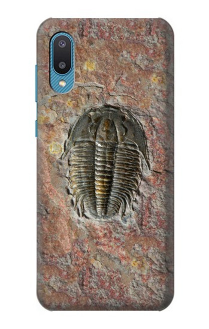 S1454 Trilobite Fossil Case For Samsung Galaxy A04, Galaxy A02, M02