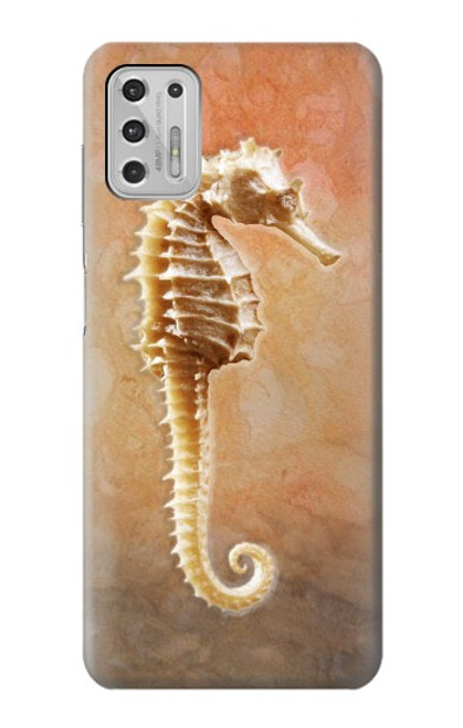 S2674 Seahorse Skeleton Fossil Case For Motorola Moto G Stylus (2021)