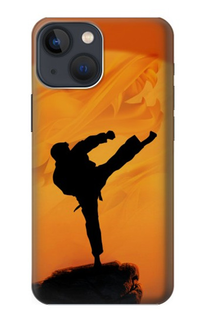 S3024 Kung Fu Karate Fighter Case For iPhone 13