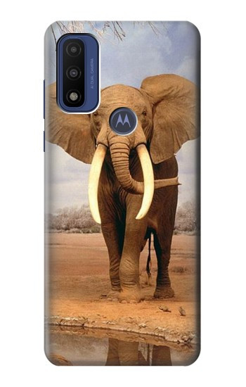 S0310 African Elephant Case For Motorola G Pure