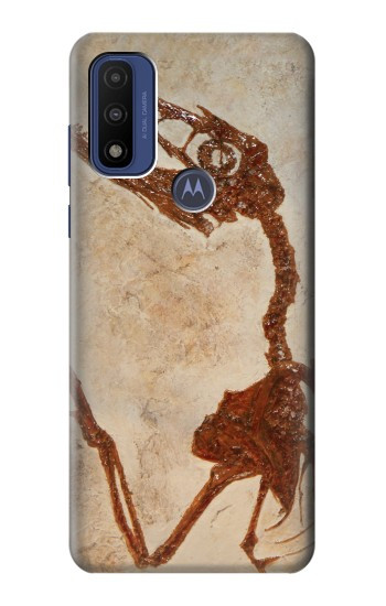S0379 Dinosaur Fossil Case For Motorola G Pure