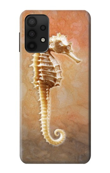 S2674 Seahorse Skeleton Fossil Case For Samsung Galaxy M32 5G