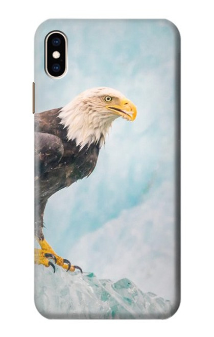 S3843 Bald Eagle On Ice Case For iPhone XS Max