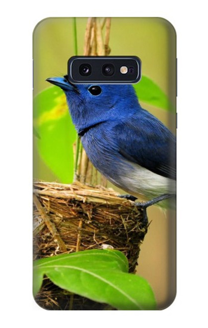 S3839 Bluebird of Happiness Blue Bird Case For Samsung Galaxy S10e