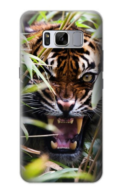 S3838 Barking Bengal Tiger Case For Samsung Galaxy S8 Plus